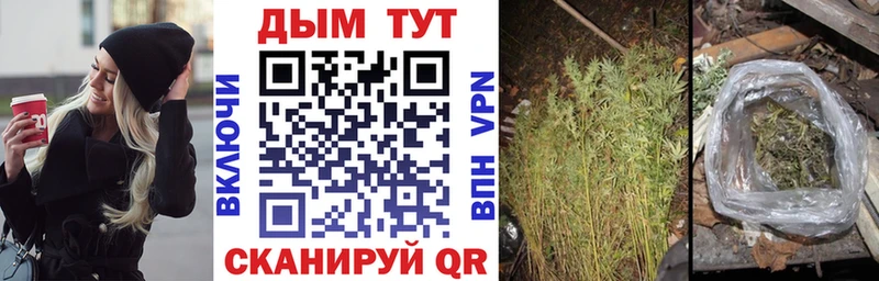 darknet какой сайт  Красный Сулин  Шишки марихуана Bruce Banner  где купить наркоту 